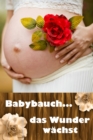 Babybauch...das Wunder wachst : Alles rund um Schwangerschaft, Geburt und Babyschlaf! (Schwangerschafts-Ratgeber) - eBook
