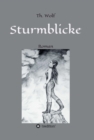 Sturmblicke - eBook