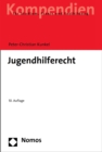Jugendhilferecht : Systematische Darstellung fur Studium und Praxis - eBook