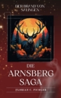 Arnsberg-Saga 1 : Der Brand von Salingen - eBook