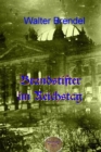 Brandstifter im Reichstag : Der Reichstagbrand und seine Folgen - eBook