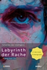 Labyrinth der Rache:  Schatten der Intelligenz : Schatten der Intelligenz - eBook