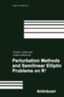 Perturbation Methods and Semilinear Elliptic Problems on R^n - eBook