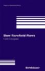 Slow Rarefied Flows : Theory and Application to Micro-Electro-Mechanical Systems - eBook