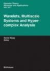 Wavelets, Multiscale Systems and Hypercomplex Analysis - eBook