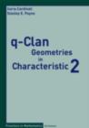 q-Clan Geometries in Characteristic 2 - eBook