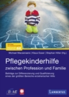 Pflegekinderhilfe : Zwischen Profession und Familie - eBook