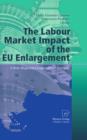 The Labour Market Impact of the EU Enlargement : A New Regional Geography of Europe? - eBook