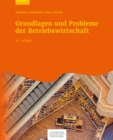 Grundlagen und Probleme der Betriebswirtschaft - eBook