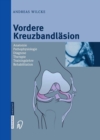 Vordere Kreuzbandlasion : Anatomie Pathophysiologie Diagnose Therapie Trainingslehre Rehabilitation - eBook