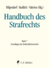 Handbuch des Strafrechts - eBook