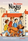 Die letzten Ninjas und der Juwelenraub - eBook