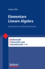 Elementare Lineare Algebra : Linearisieren und Koordinatisieren - eBook