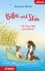 Billie und Stux. Ein Pony fallt vom Himmel - eBook