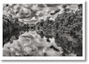 Sebastiao Salgado. Amazonia. Poster 'Jau River' - Book