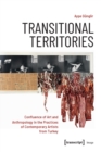 Transitional Territories : Confluence of Art and Anthropology in the Practices of Contemporary Artists from Turkey - Book