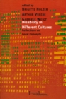 Disability in Different Cultures : Reflections on Local Concepts - eBook