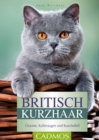 Britisch Kurzhaar : Charme, Kulleraugen und Kuschelfell - eBook