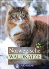 Norwegische Waldkatze : Skandinaviens sanfte Wilde - eBook