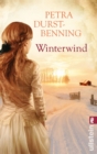 Winterwind : Weihnachtsgeschichten zum Traumen - eBook