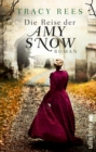 Die Reise der Amy Snow - eBook