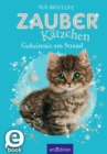 Zauberkatzchen - Geheimnis am Strand - eBook