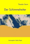 Der Schimmelreiter : - mit Leitfaden zur Interpretation - - eBook