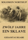 Zwolf Jahre Ein Sklave : 12 Years a Slave (Gesamtausgabe) - eBook