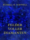 Felder voller Diamanten - eBook