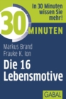 30 Minuten Die 16 Lebensmotive - eBook