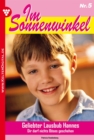 Im Sonnenwinkel 5 - Familienroman : Geliebter Lausbub Hannes - eBook