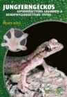 Jungferngeckos : Lepidodactylus lugubris & Hemiphyllodactylus typus - eBook