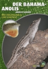 Der Bahama-Anolis : Anolis sagrei - eBook