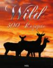 Wild : 500 Rezepte - eBook