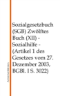 Sozialgesetzbuch (SGB) - Zwolftes Buch (XII) : Sozialhilfe - (Artikel 1 des Gesetzes vom 27. Dezember 2003, BGBl. I S. 3022) - eBook
