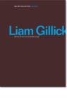 Liam Gillick : Woven/intersected/revised - Book