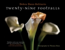 Twenty-Nine Footfalls - eBook