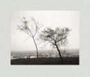 Robert Adams: Los Angeles Spring - Book