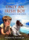 Only An Irish Boy - eBook