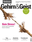 Gehirn&Geist 5/22 - Kein Stress! : Druck und Unsicherheit besser meistern - eBook