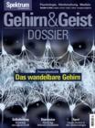 Gehirn&Geist Dossier - Das wandelbare Gehirn : Neuroplastizitat - eBook