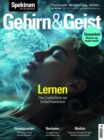 Gehirn&Geist 8/2024 Lernen : Das Gedachtnis im Schlaf trainieren - eBook