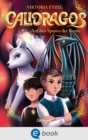 Calidragos 2. Auf den Spuren der Bestie : Ein magisches und actionreiches Tierwandler-Fantasy-Abenteuer fur Kinder ab 10 Jahren - eBook