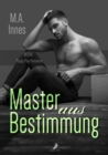 Master aus Bestimmung : The Accidental Master 3 - eBook