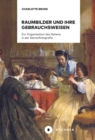 Raumbilder und ihre Gebrauchsweisen : Zur Organisation des Sehens in der Stereofotografie - eBook