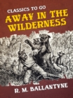 Away in the Wilderness - eBook
