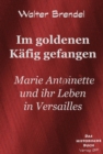 Im goldenen Kafig : Marie Antoinette und ihr Leben in Versailles - eBook