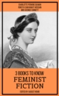 3 books to know Feminist Fiction - eBook
