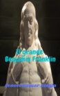 Il grande Benjamin Franklin - eBook