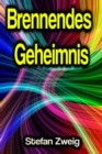 Brennendes Geheimnis - eBook